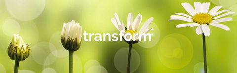 Achieve Business Dynamics - LBG 1