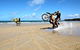 Cape York Motor Cycle Adventures - thumb 0