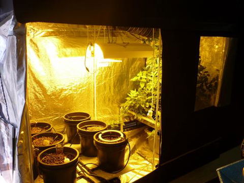HydroCentre Hydroponics - LBG 0