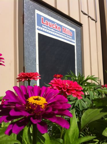 Laucke Mills Alice Springs - LBG 1