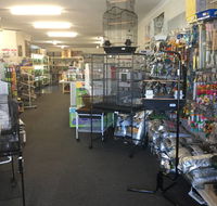Coffs Coast Pets - LBG