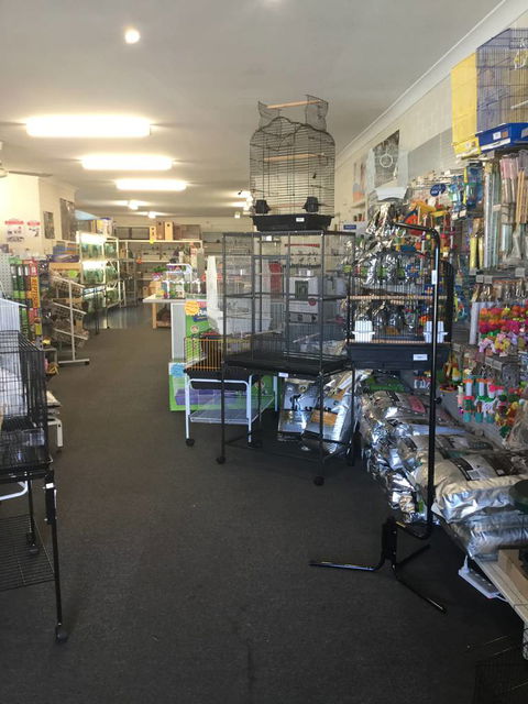 Coffs Coast Pets - LBG 0