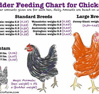 Feed and Fodder - LBG