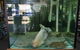A1 Aquarium World - thumb 2