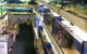 Clearwater Aquariums - thumb 0
