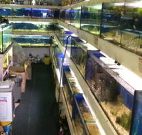 Clearwater Aquariums - LBG