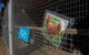 Radley’s Farm, Pet & Garden Supplies - thumb 2