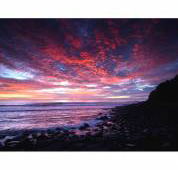 Ocean Art Australia - LBG
