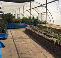 Mount Isa Home  Garden - LBG
