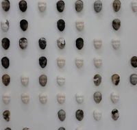 Northern Rivers Online Art Gallery NROAG - LBG