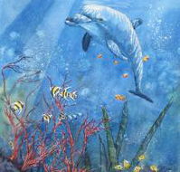 Nadas Fine Art Gallery - LBG