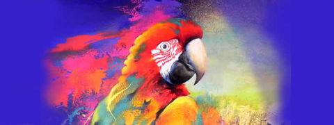 Tina Cooper Gallery - LBG 2
