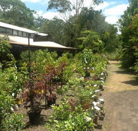 Fairhill Native Plants Retail - LBG