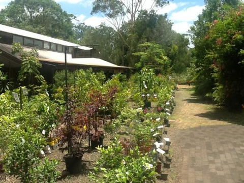 Fairhill Native Plants Retail - LBG 0