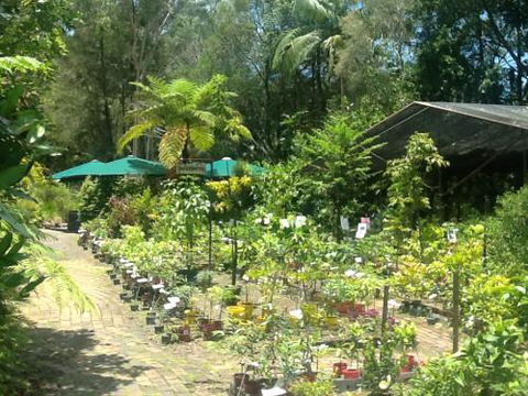 Fairhill Native Plants Retail - LBG 1