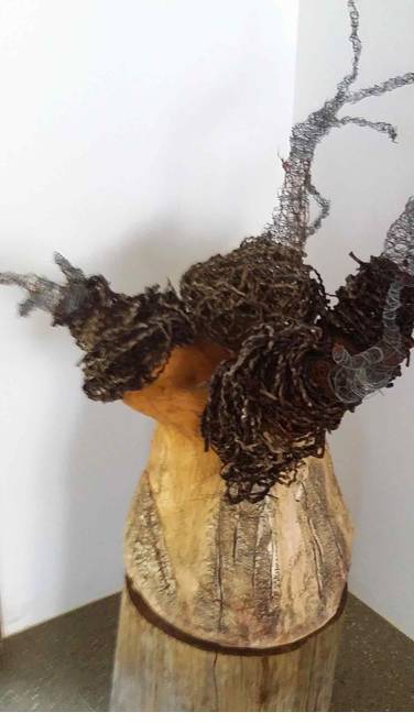 Martial Art Schools Suppliers Murwillumbah NSW LBG