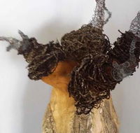 Caldera Art Gallery - LBG