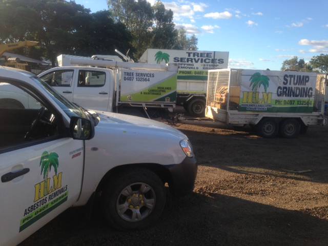 Tree Stump Removal Emerald QLD LBG