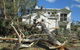Almighty Trees & Demolition - thumb 0
