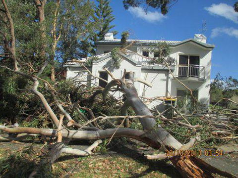 Almighty Trees & Demolition - LBG 0