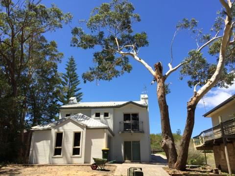 Almighty Trees & Demolition - LBG 1