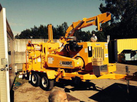 Almighty Trees & Demolition - LBG 8