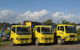 Suncoast Skips - thumb 1