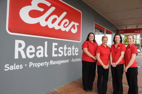 Elders Real Estate Taree - LBG 1
