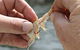 Ingham Tackle Shack - thumb 0