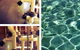 Jetty Pool Shop - thumb 1