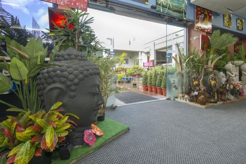 Music Stores Instruments Mackay QLD LBG