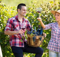 Two Tails Wines - LBG