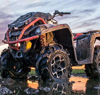 Rosenberg Powersports - LBG