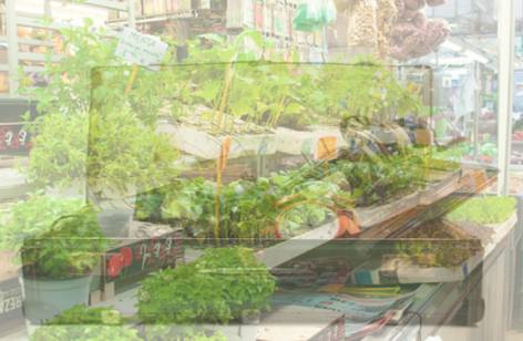 Warrawong Markets - LBG 2