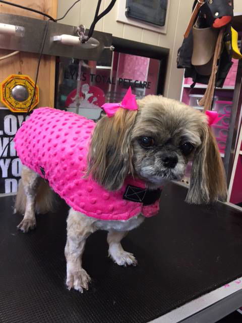 Lyns Total Pet Care - LBG 3