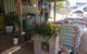Gum Tree Gardens - thumb 3