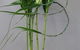 Warners Bay Florist - thumb 0