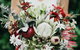 Flowers On Argyle - thumb 4