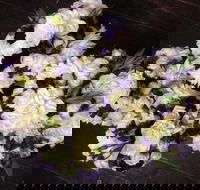  Sea Rose Florist - LBG