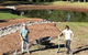 Earth Garden Landscaping - thumb 0