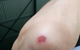 Bruno's Bne - thumb 2