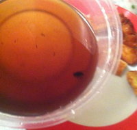 Labrador Chinese Restaurant - LBG