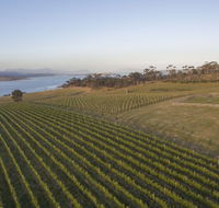 Bangor Vineyard Shed - LBG