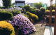 Pipers River Tea House And Crafts - thumb 0