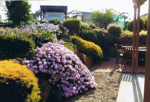 Pipers River Tea House And Crafts - LBG 0