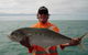 Equinox Fishing Charters - thumb 4
