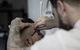 Heath Paton Hair For Men - thumb 1