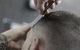 Heath Paton Hair For Men - thumb 3