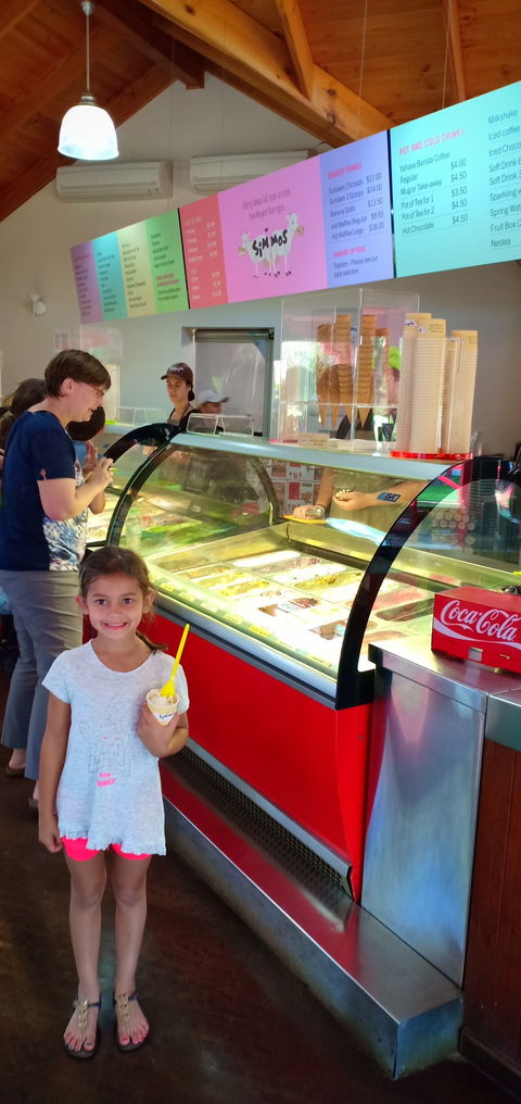 Simmo's Icecreamery - LBG 3