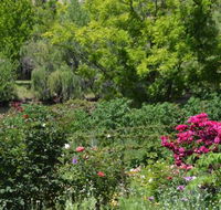 Berry Delightful - LBG